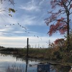 Autumn landscape with a pond, trees showing fall colors, and a bright blue sky.