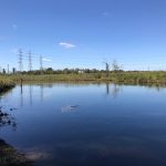 Calm blue water reflecting a clear sky, with industrial towers and greenery along the horizon.
