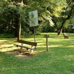 Park clearing with trees, bench, and informational sign under dappled sunlight.