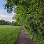 Paved path alongside a lush green field and dense trees on a bright day.
