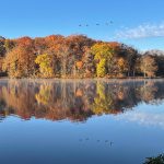 Autumn trees reflected in a calm blue lake under a bright sky.
