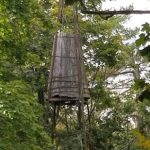 Wooden observation tower nestled in a dense, leafy forest canopy.