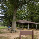 Picnic shelter under large trees in a grassy park setting.
