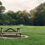Wooden park bench in a grassy field with dense trees under an overcast sky.