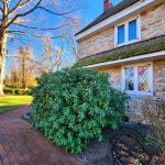 Brick walkway beside a stone house with large green shrub under a blue sky.