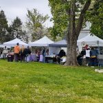 Outdoor community event with white tents, people mingling on a grassy lawn.