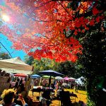 Vibrant red autumn leaves canopy over a bustling outdoor market scene.