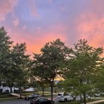Sunset over a suburban street with lush green trees framing the vibrant orange and pink sky.