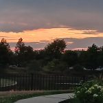 Sunset over a dark treeline with orange and pink clouds in the sky.