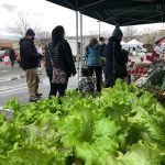 Fresh green lettuce at an outdoor market stall under a canopy.