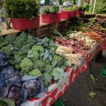 Fresh produce display at a farmers market featuring leafy greens, root vegetables, and herbs.