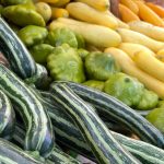 Assortment of green and yellow squash, zucchini, and other fresh vegetables displayed for sale.