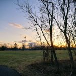 Sunset over a grassy field with silhouetted bare trees in the foreground.