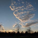 Sunset sky with scattered wispy clouds above a dark horizon line of trees.