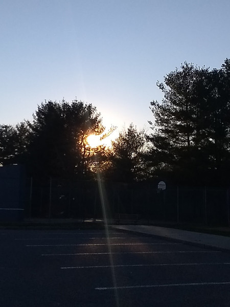 Westfield Road Park