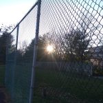 Chain-link fence with bright sun flare shining through trees on a grassy field.