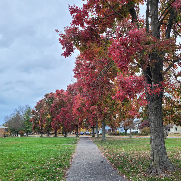 Wiltshire Park