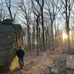 Man stands near large rocks in a sunlit, bare forest with an empty wooden bench.