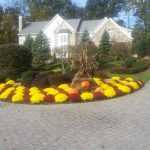 Autumn landscaping with colorful mums lining a brick driveway toward a white house.