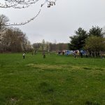 Green park field with scattered people and trees under an overcast sky.