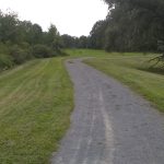 Gravel path winding through a grassy park with trees lining the distance.
