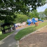 Park playground with blue slides under a canopy of green trees on a sunny day.
