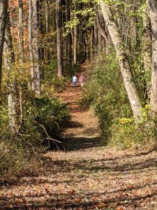Woosamonsa Ridge Hiking Preserve