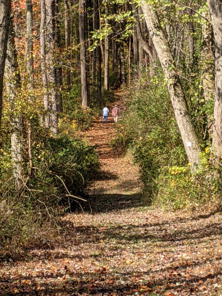 Woosamonsa Ridge Hiking Preserve