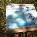 Informational sign detailing stream ecology, featuring diagrams of aquatic life and plants.