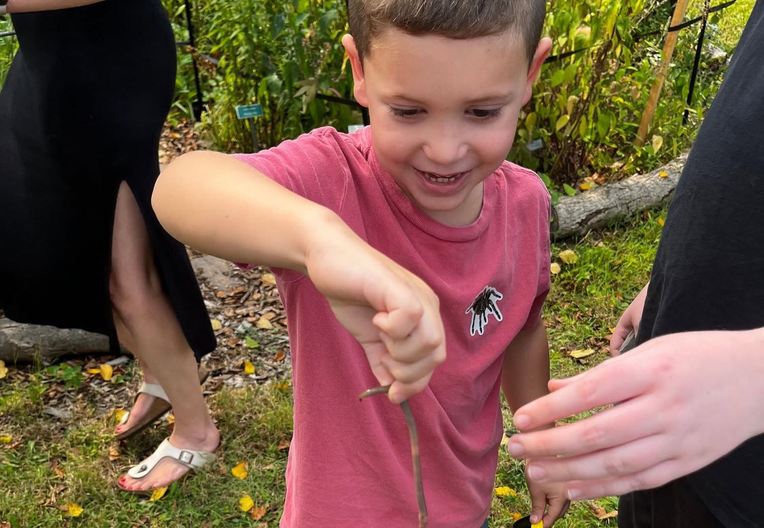 Got Bug? Got Life! Learn More at Mercer County Master Gardeners Insect Fest, September 19th