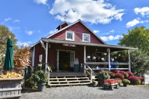 Fall Family Fun Weekend at Terhune Orchards