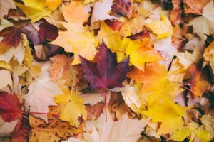 Lawrenceville Fall Arts Festival